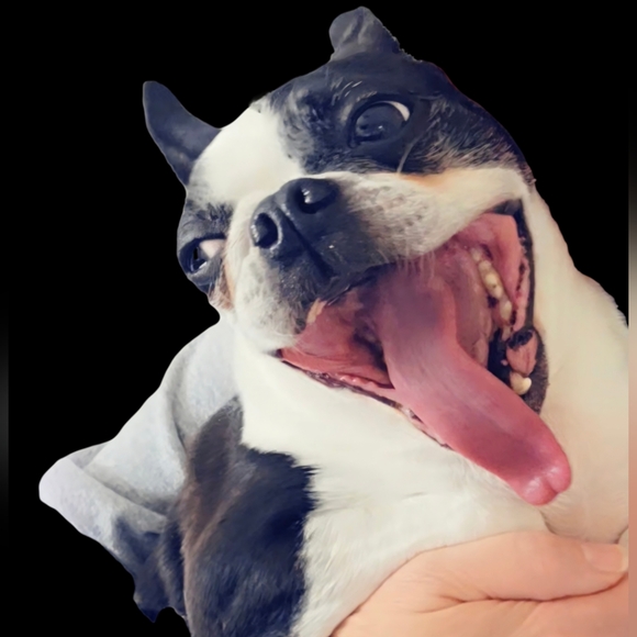 Hello Everyone 🥰💎❤️💖⚘️💍🥂 - Picture 10 of 17